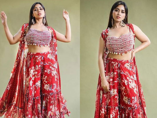 Dazzling Poses Of Nivetha Pethuraj